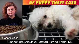 GF Puppy Theft Case [upl. by Akeihsat]