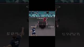 Table Tennis best point paris2024 alexislebrun tabletennis pingpong worldtabletennis wtt ittf [upl. by Ludewig]