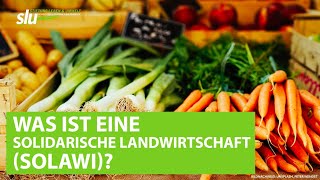 Was ist eine Solidarische Landwirtschaft Solawi [upl. by Kcirdneked]