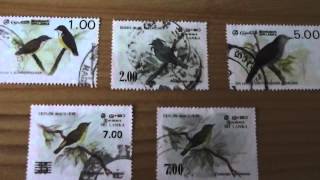 Stamps of Sri Lanka  Birds [upl. by Boot]