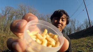 Panfishing with Mummified Wax Worms Haddonfield NJ [upl. by Ahtel]