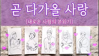 타로🛁 ✨💘3개월 안에 찾아올 새로운 사랑💘✨ 다가올 사람의 외모 분위기와 시기까지 🔮 연애운 타로 [upl. by Romain742]