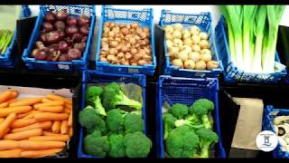 The Veg Shop Abergele [upl. by Eesak]