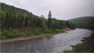 VIA Rails Ocean Train 14 Amqui ⇒ Campbellton [upl. by Ahsiena185]