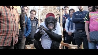 PNL  DA Clip Officiel [upl. by Martyn847]