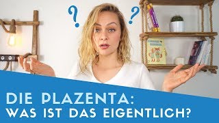 ▶ Was genau ist eigentlich die Plazenta [upl. by Ylen]