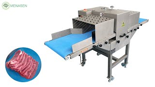 MNSQP3420 Meat Slicer Machine [upl. by Wilonah]