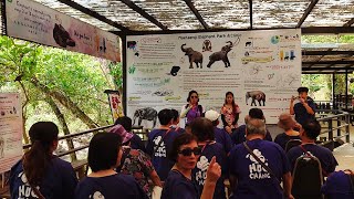 【清邁友善大象體驗營】製作大象飯團 HUG CHANG MAETENG ELEPHANT SANCTUARY Thailand [upl. by Anaidiriv]