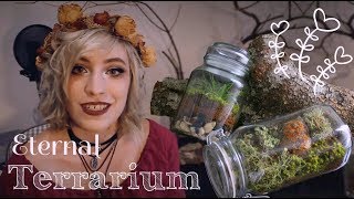 Tutorial cómo hacer un Eternal Terrarium [upl. by Saleem607]