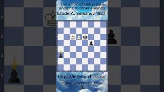 Transforming Pawn Endgames Strategic Shifts with the Queen’s Arrival ♟️➡️👑 [upl. by Ebeohp]