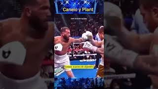 Canelo sin sufrir daño frente a Caleb Plant boxing [upl. by Hsakaa461]