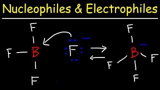 Nucleophiles and Electrophiles [upl. by Eerehs236]