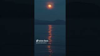 Tides on earth cause by moon  shorts facts [upl. by Rozina]