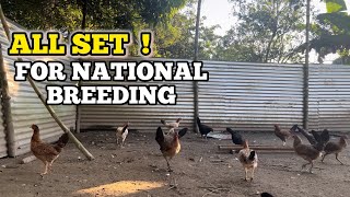 All set for national breeding [upl. by Balsam891]