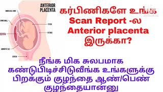 AnteriorAnterior placenta how to find baby gender in placenta anterior during pregnancy intamil [upl. by Snodgrass]