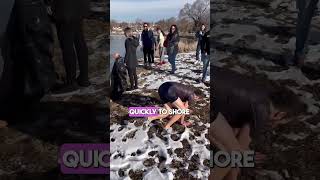 Man Saves Dog From Freezing Lake ❤️ [upl. by Aspa135]