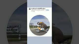 FB එකෙන් ආපු අමුතු Request මොනවද 🤭😜fb funny youtubeshorts memes athalbukiya [upl. by Veronika]