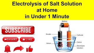 Electrolysis of Salt Solution at Home in Under 1 minute to produce Hydrogen and Chlorine [upl. by Arlin]