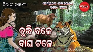 Pilanka Kahani Budhibale Bagha tale odia [upl. by Aurelea]