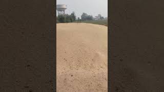 Paddy harvesting and cultivation  total 4 acer padd yorld agriculture smartagri paddycrop sm [upl. by Hedaza924]