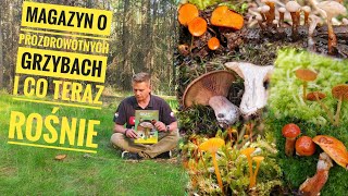 Grzyby z bagien i ciekawy magazyn o prozdrowotnych właściwościach grzybów i moją skromną osobą [upl. by Annitsirhc]