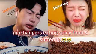 mukbangers eating the SPICIEST foods and SUFFERING [upl. by Laeynad619]