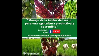 Agrosilicium Manejo de la acidez del suelo para una agricultura productiva y sostenible [upl. by Galvan]