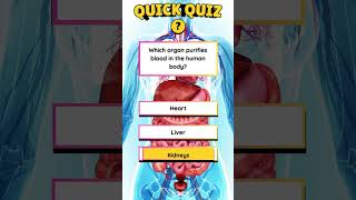 General Knowledge Quiz 55quiz shorts [upl. by Venterea]