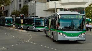 Buses in Perth city during peak hour  Transperth [upl. by Aurilia]