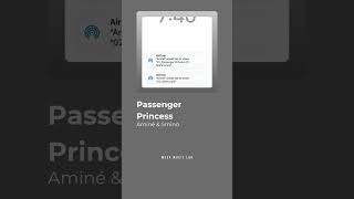 Aminé amp Smino  Passenger Princess [upl. by Nwahc]