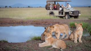 Singita Sasakwa Lodge  Serengeti Tanzania [upl. by Av]