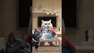 HAPPY BIRTHDAY TO CUTE CATS catvideos cutecat catlover trendingshorts [upl. by Lydon]