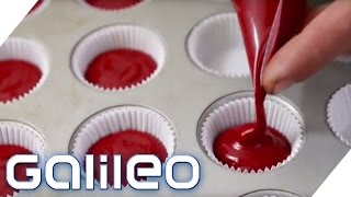 Schokolade und Cupcakes aus Blut  Ist das genießbar  Galileo  ProSieben [upl. by Nilson210]