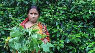 Village Food  Cooking Simple Tela Kachu Shak Kacha Lanka Diye Bengali Food Recipe by my Mother [upl. by Aseeram292]