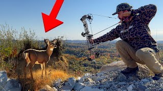 Bowhunting Whitetail Deer in the Appalachian Mountains [upl. by Dnesnwot172]