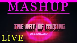 Thomas Gold Cesqeaux Stoltenhoff Yellow Claw  TAOM Valarijex Live Mashup 2024 livemashp livedj [upl. by Viccora]