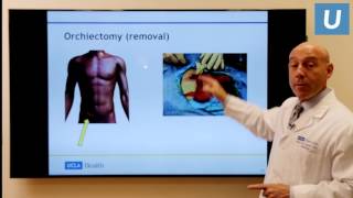 Testicular Cancer What You Really Need to Know  Mark Litwin MD MPH  UCLAMDChat [upl. by Ivor]