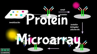 Protein Microarray  Protein Arrays  Protein Biochips [upl. by Munafo971]