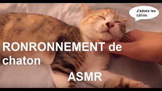 ASMR français  Ronronnement de chaton [upl. by Cramer]