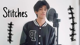 shawn mendes stitches cover [upl. by Roleat]