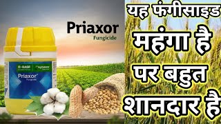 BASF Priaxor Fungicide का स्प्रे से क्या होता है जाने 🤔 farming agriculture fungicide kheti [upl. by Adam887]