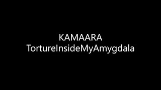 KAMAARA  TortureInsideMyAmygdala Lyrics [upl. by Alaric316]