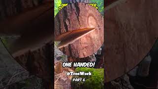 One armed pro logger cuts down 500 year old pine tree part 6 shorts [upl. by Ardried536]