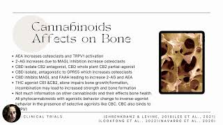 Cannabinoids and OA [upl. by Arremat]