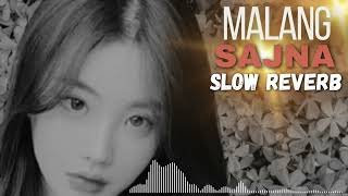 Malang  Sajna  Hindi  Slowed amp reverb 2024 slowedandreverb [upl. by Nitas]