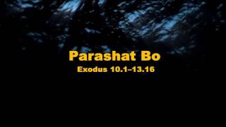 Parashat Bo [upl. by Ekyt]