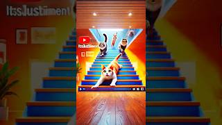 Cats Conquer Stairs in the Most Creative Ways [upl. by Grane]