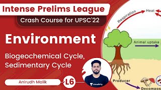 L6 Biogeochemical Cycle Sedimentary Cycle  Environment  Intense Prelims League  UPSC CSEIAS [upl. by Esinet]