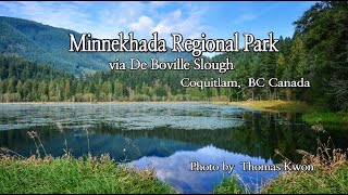 Minnekhada Regional Park via De Boville Slough 미네카다  Coquitlam BC Canada [upl. by Goddart]