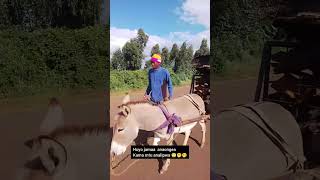 Kikuyu comedys funny comedy comedymovies subscribe kikuyucelebrity [upl. by Gavette886]